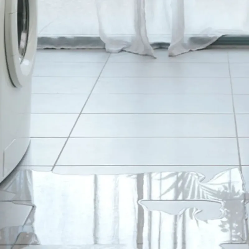 Appliance Leak Cleanup in Lane County, KS