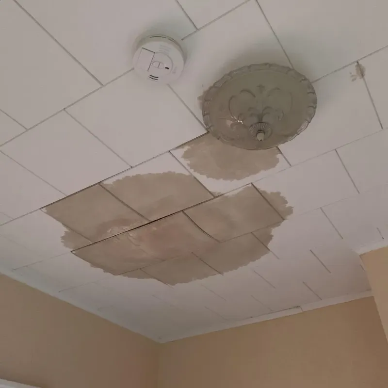 Ceiling Water Damage Repair in Lane County, KS