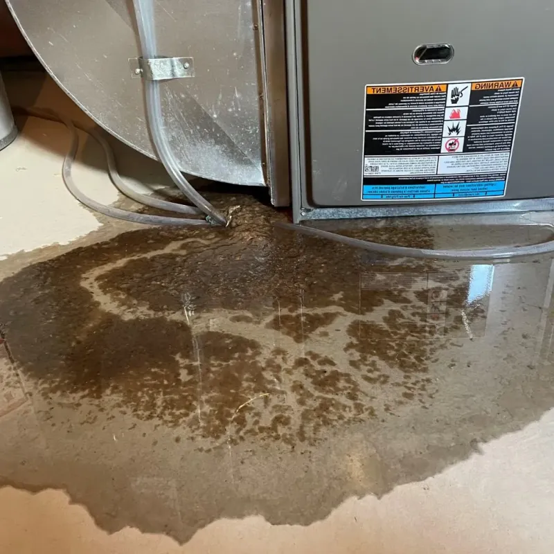 Pipe Burst and Leak Restoration in Lane County, KS