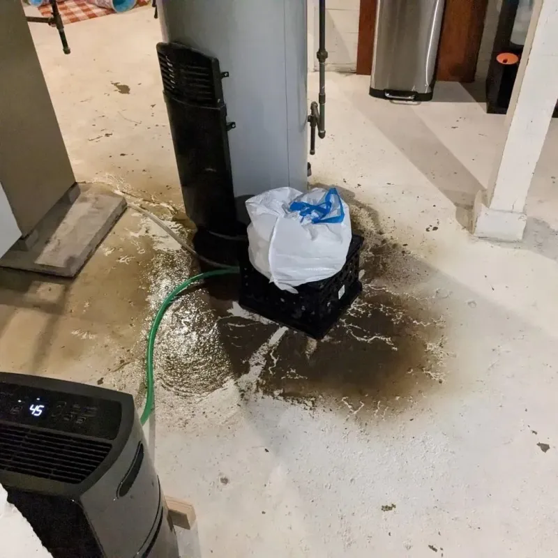 Sewage Backup Cleanup Service in Lane County, KS